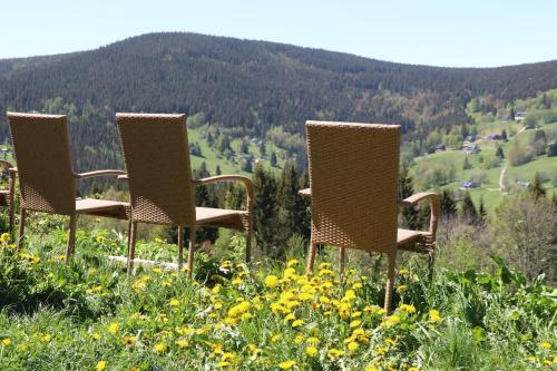 three chairs sitting on top of a hill with flowers at Hotel Hromovka in Špindlerův Mlýn