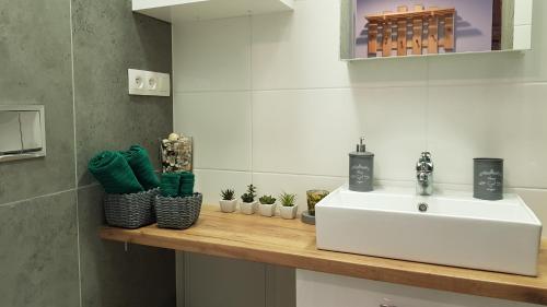 a bathroom with a white sink and a counter with plants at Noclegi Pod Parkową - Krynica-Zdrój in Krynica Zdrój