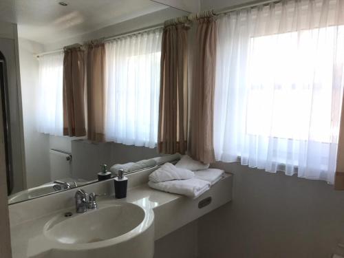 a bathroom with a sink and a mirror and a window at Hotel-Restaurant Kranefoer in Waltrop