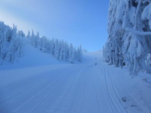 a snow covered slope with trees and skiers on it at Noclegi "Na Szczyrboku" Dom I in Korbielów