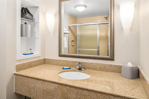 a bathroom with a sink and a mirror at Holiday Inn Express & Suites Wilmington-Newark by IHG in Newark