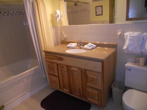 a bathroom with a sink and a toilet and a shower at Oak Square 309 in Gatlinburg