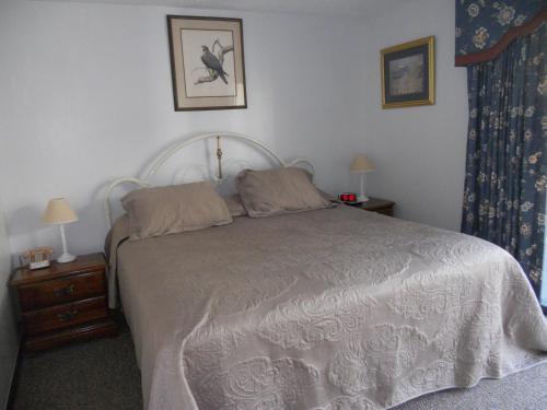 a bedroom with a bed and two night stands with lamps at Oak Square 309 in Gatlinburg