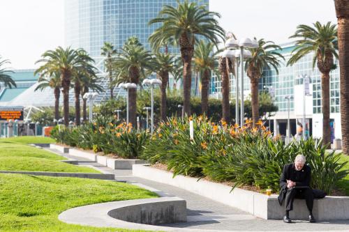a man sitting on a bench in a park with palm trees at Level Los Angeles - Downtown South Olive in Los Angeles