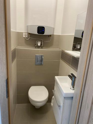 La petite salle de bains est pourvue de toilettes et d'un lavabo. dans l'établissement Aranyhíd Apartman Balatonalmádi, à Balatonalmádi