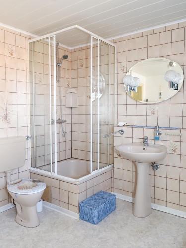 a bathroom with a shower and a toilet and a sink at Pension Hoffmann in Trebra