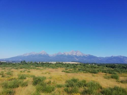 a view of a field with mountains in the background at apartmán Ela - TATRY GOLF in Veľká Lomnica