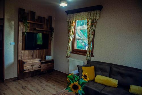a living room with a couch and a television at Etno kuća Todorović in Smederevo