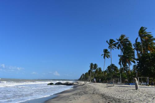 a sandy beach with palm trees and the ocean at Cabañas San Sebastian in Palomino