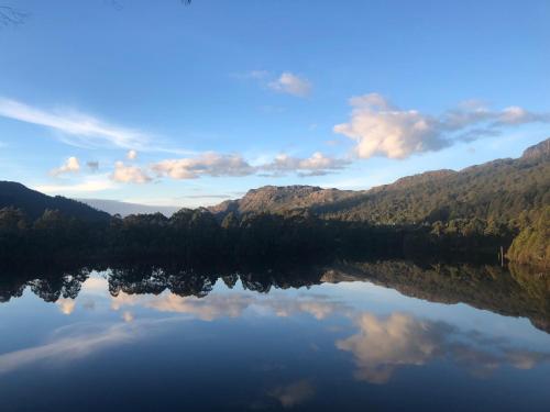 a view of a lake in the middle of a forest at Tullah Lakeside Lodge in Tullah