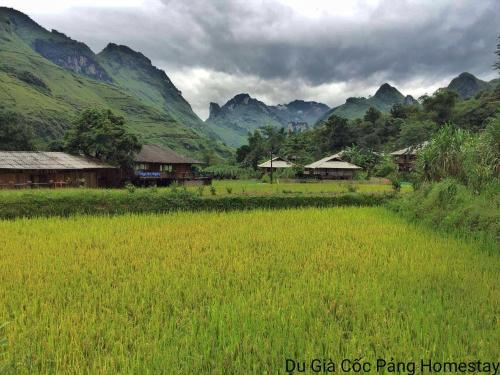 a field of grass with houses and mountains in the background at Tày Cốc Pảng Homestay in Làng Cac