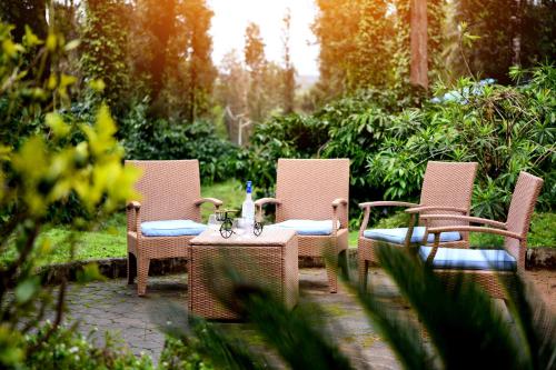 three wicker chairs and a table in a garden at Unlock By Goldfinch Sakaleshpur in Kenchamman Hoskota