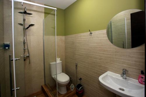 a bathroom with a toilet and a sink and a mirror at Bucha`s Guest House & Wine Cellar in Tʼelavi