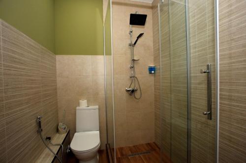a bathroom with a toilet and a glass shower at Bucha`s Guest House & Wine Cellar in Tʼelavi
