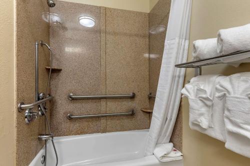 a bathroom with a shower and a bath tub at Comfort Inn & Suites Paris in Paris
