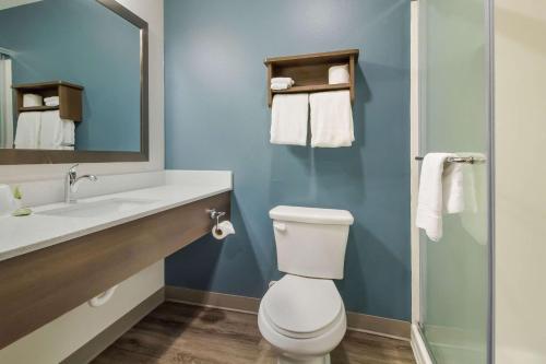 a bathroom with a toilet and a sink and a mirror at WoodSpring Suites Lake Jackson in Lake Jackson