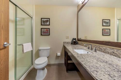 a bathroom with a toilet and a sink and a mirror at Comfort Suites Mason near Kings Island in Mason