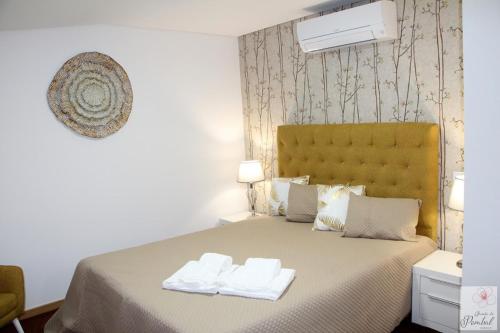 拉梅戈的住宿－Quinta do Pombal - Douro - Camila's，一间卧室配有一张床,上面有两条毛巾