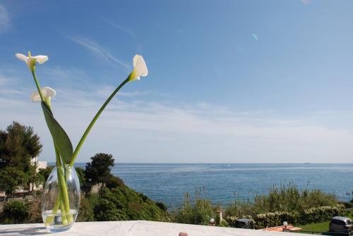Gallery image of Hotel Torre in Celle Ligure