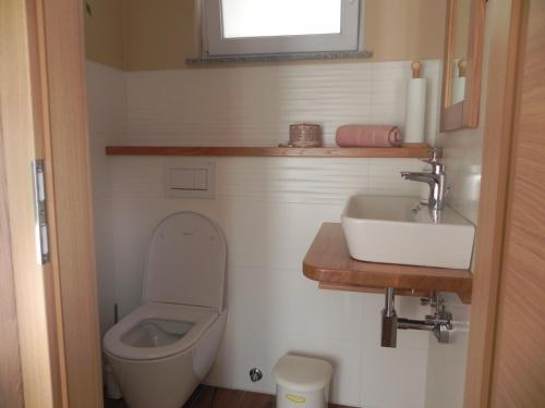 a small bathroom with a toilet and a sink at Apartments Vesna in Bled