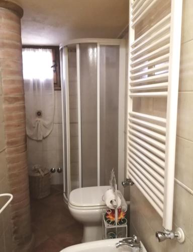 a bathroom with a toilet and a shower and a sink at La Bouganville e Il Gelsomino in Pietrasanta