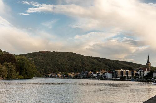 a body of water with a town and a mountain at Hôtel Vedette in Profondeville