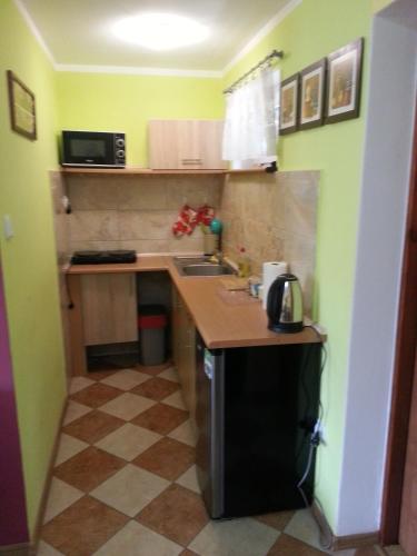 a small kitchen with a sink and a counter at Pod Klonem in Lądek-Zdrój