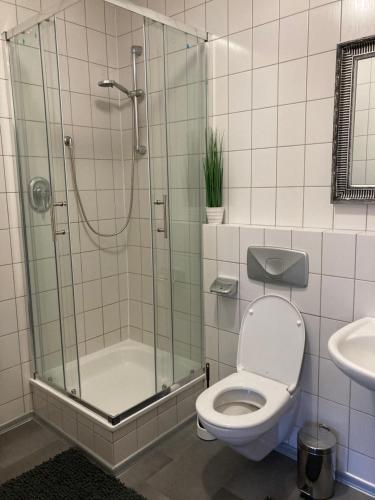 a bathroom with a shower and a toilet and a sink at Pension Boulevard in Waldsassen