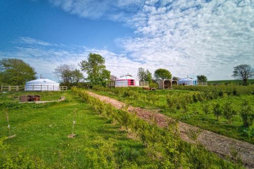 a field with green grass and buildings and a dirt road at Glamping Yurts near Newquay in Newquay