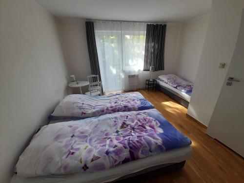 1 dormitorio con 2 camas y ventana en Ośrodek Wypoczynkowy SUM, en Bialokosz