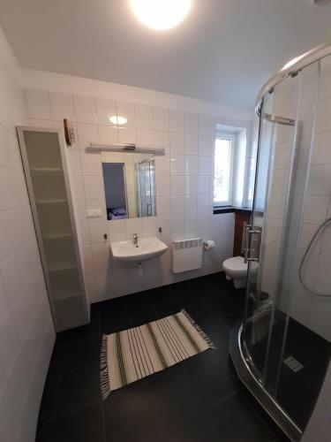 ein Bad mit einem Waschbecken, einer Dusche und einem WC in der Unterkunft Ośrodek Wypoczynkowy SUM in Bialokosz