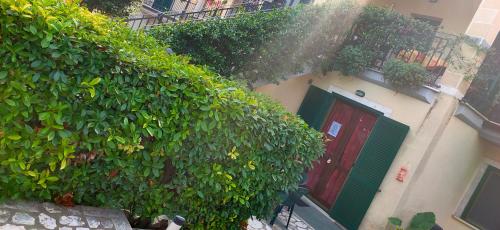 a building with a red door and a green door at Tana per gli ospiti in Terni