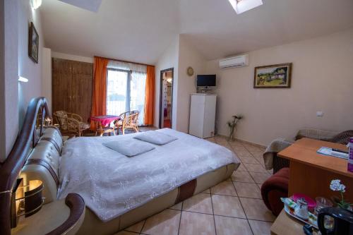 a bedroom with a large bed in a room at Guesthouse Elizabeth in Samokov