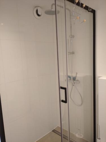 a shower with a glass door in a bathroom at Terrasse de Malmedy Malmedy nature 338 in Malmedy