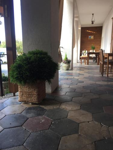 Φωτογραφία από το άλμπουμ του Casa Miriam σε Păuliş