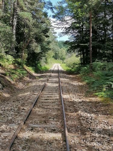a train track in the middle of a forest at Maison La Vigne - Gîtes et Chambres d'hôtes in Le Chambon-sur-Lignon