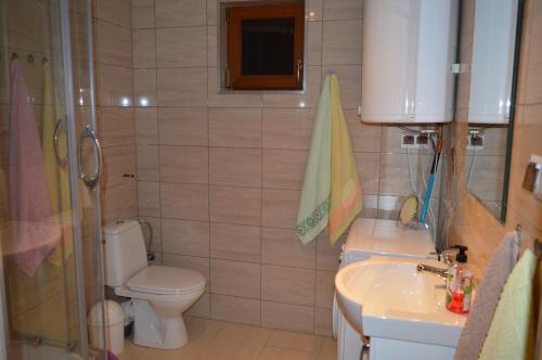 a bathroom with a toilet and a sink at Domek z Klimatem in Smołdziński Las