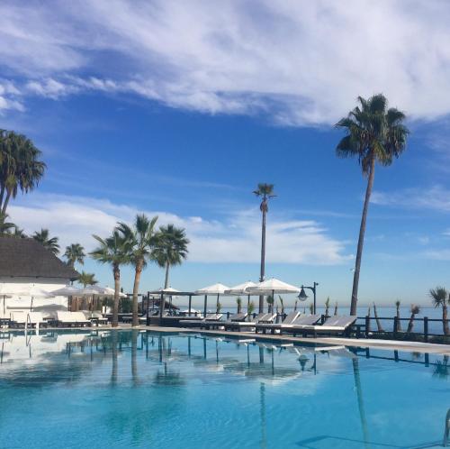 a large swimming pool with chairs and palm trees at El nido de aguila in Casares