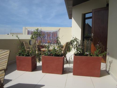 three potted plants sitting on a patio at La Villa 126 Dakar in Dakar
