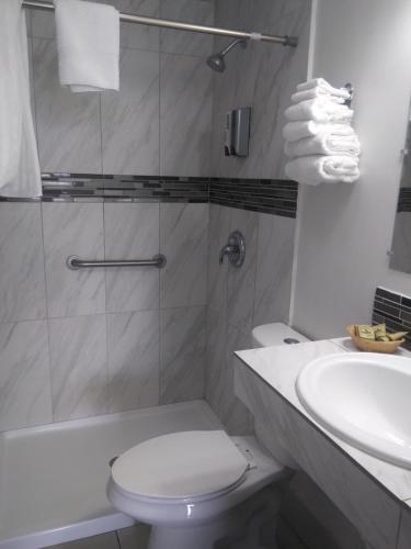 a bathroom with a toilet and a sink and a shower at Modoc Inn in Alturas