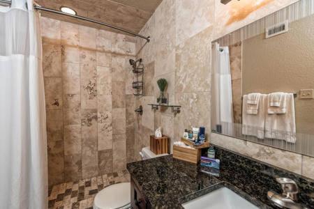 La salle de bains est pourvue d'un lavabo, de toilettes et d'une douche. dans l'établissement 1700 South 2nd, à Waco
