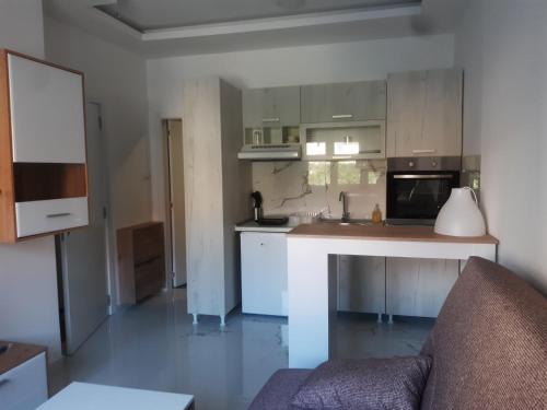 Una cocina o zona de cocina en Stojanović Apartments