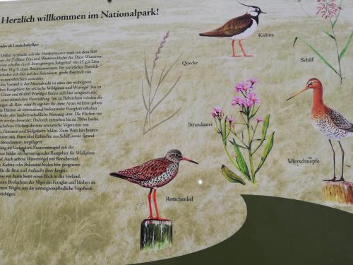 a page of a book with illustrations of birds at Ediths Haus in Rhauderfehn