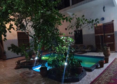 einen Pool in einem Zimmer mit Bäumen und Lichtern in der Unterkunft Riad Raffaa in Marrakesch