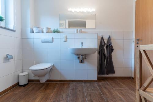 La salle de bains est pourvue de toilettes et d'un lavabo. dans l'établissement Saale Unstrut Ferienwohnung II, à Naumbourg