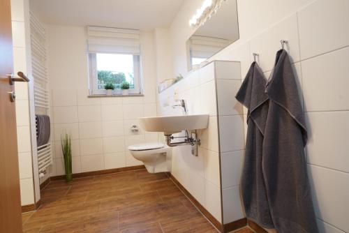 uma casa de banho com um lavatório e um WC em Saale Unstrut Ferienwohnung II em Naumburg