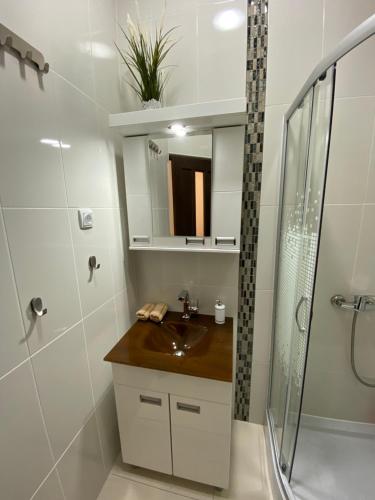 a bathroom with a sink and a shower at Apartmani Diksi 2 CENTAR in Zrenjanin