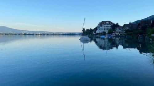 a boat floating on top of a body of water at Hotel Restaurant Bellevue au Lac in Thun
