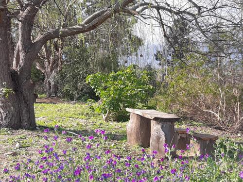 a bench sitting in the middle of a garden with flowers at Klipfontein Rustic Farm & Camping in Tulbagh