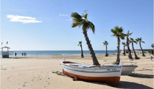 two boats sitting on the beach with palm trees at Karol in Pozzallo